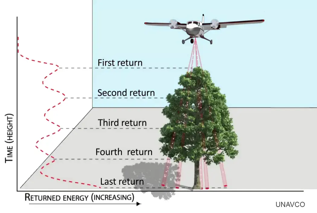 An infographic explaining how aerial LiDAR maps surfaces, showing a plane sending laser pulses to a tree and detecting multiple returns from the top of the canopy down to the forest floor.