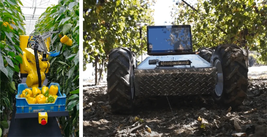 Two examples of agricultural robots: a robotic arm harvesting peppers in a greenhouse and an autonomous rover navigating a field