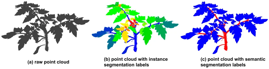 Diagram showing a plant raw point cloud segmented with instance and semantic labels for agricultural AI