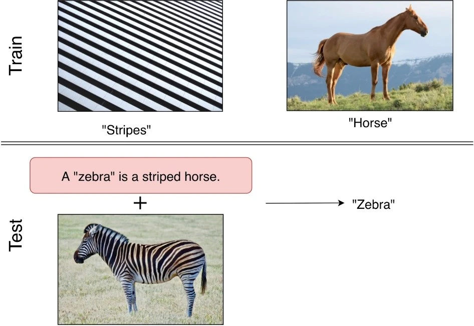 inferring what a zebra looks like using zero-shot learning