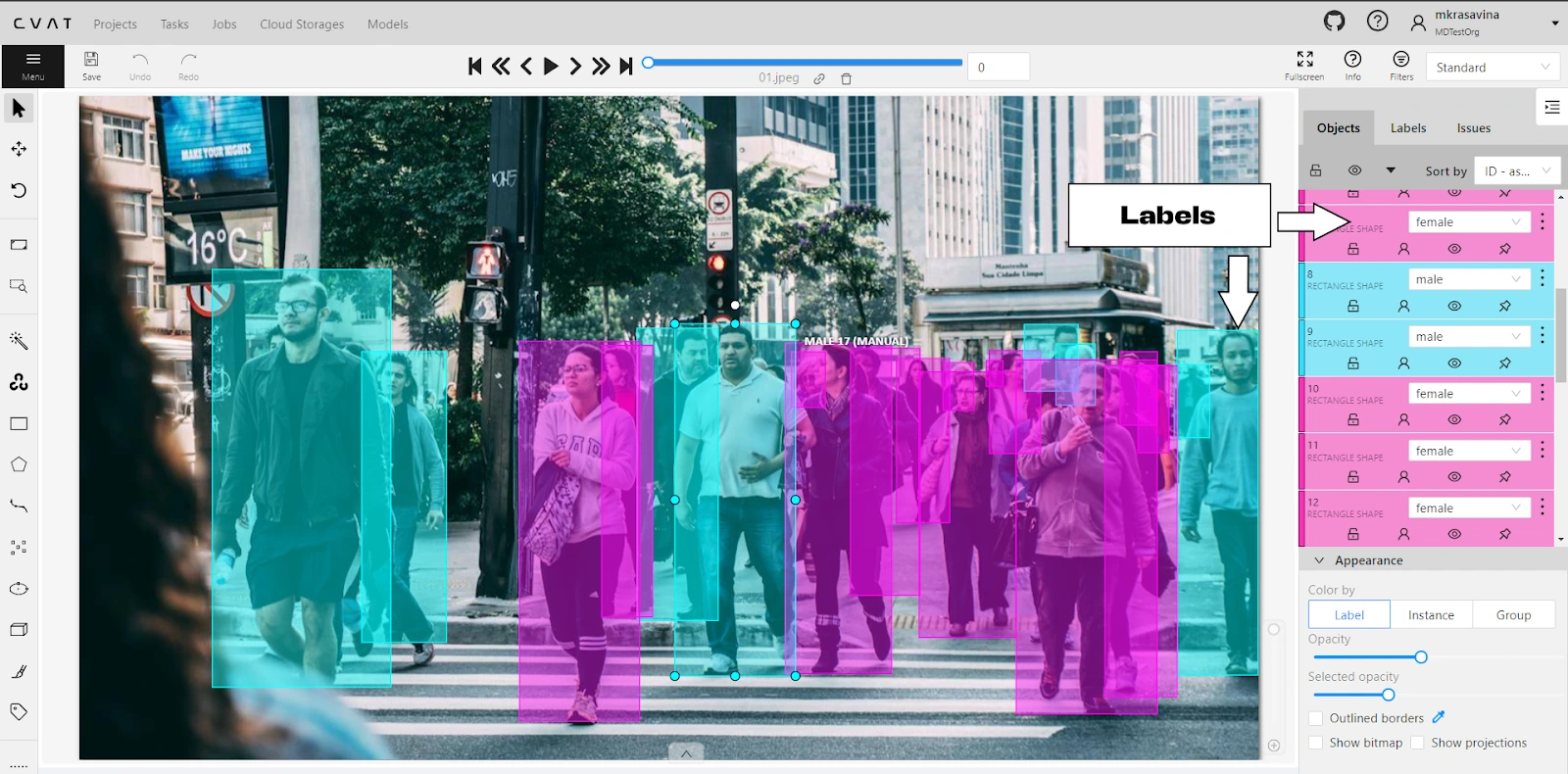 Image annotation using the CVAT tool, where bounding boxes are used to label pedestrians for a computer vision object detection task. The labels panel on the right shows the assigned classes.
