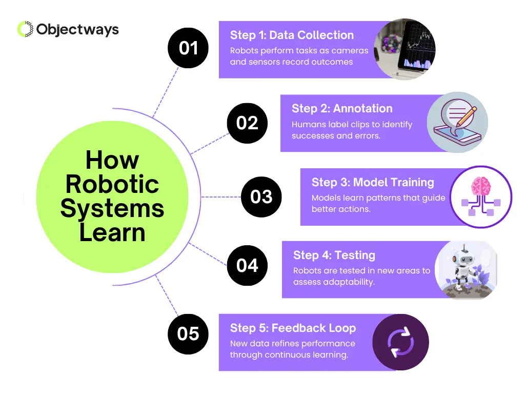Infographic outlining the 5 steps of how robotic systems learn: data collection, annotation, model training, testing, and feedback