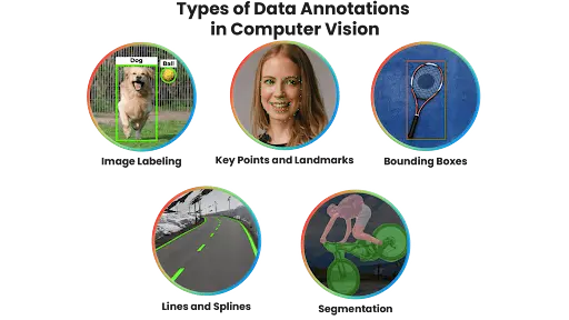 Examples of data annotation types: bounding box on a dog, keypoints on a face, and semantic segmentation on a cyclist