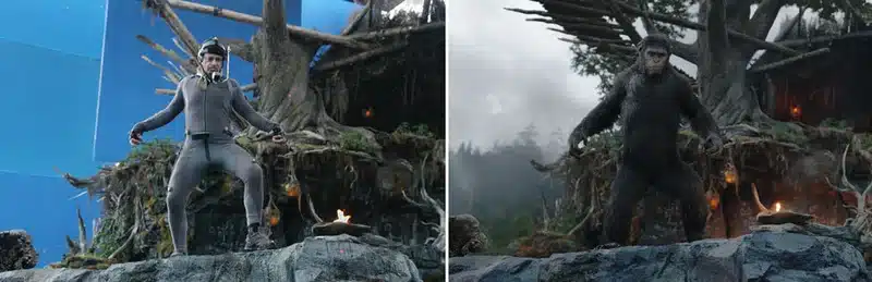 Side-by-side of an actor in a MoCap suit and the final rendered CGI chimpanzee in the same pose