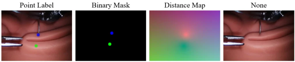 Comparison of point labels, binary masks, and distance maps for needle tracking in robotic surgery vision systems